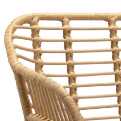 Ronnie Rattan Dining Chair - Set Of 2 -Famous Furniture Store 13644186 6854997056909860